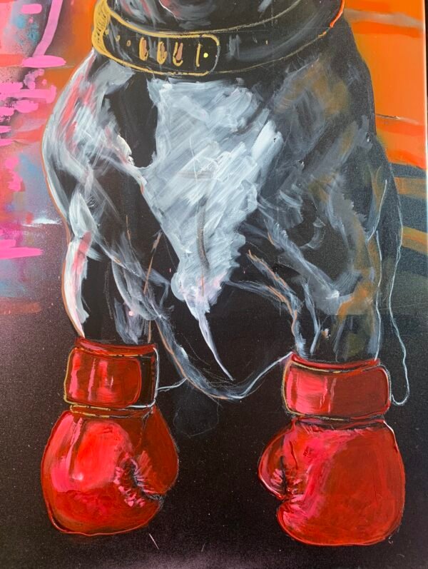 IMG_0485 The boxer